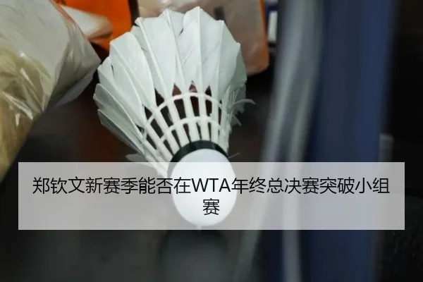 郑钦文新赛季能否在WTA年终总决赛突破小组赛