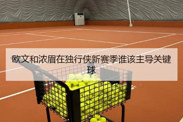 欧文和浓眉在独行侠新赛季谁该主导关键球