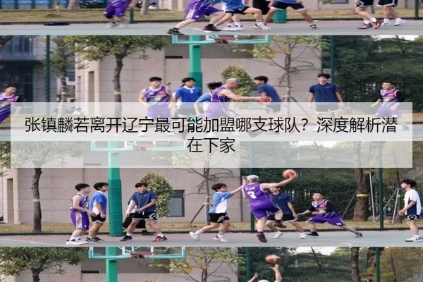 张镇麟若离开辽宁最可能加盟哪支球队？深度解析潜在下家